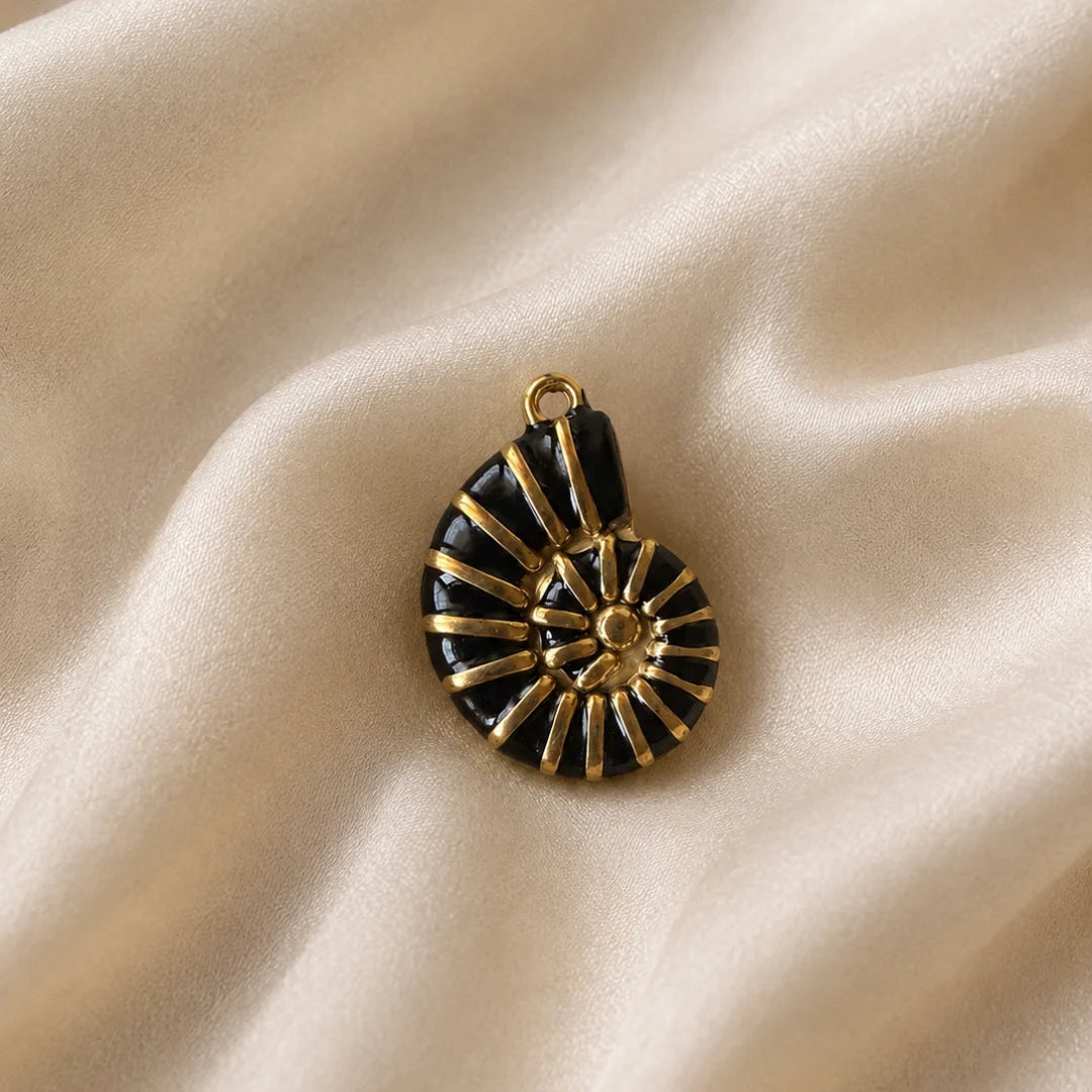 Stainless Steel | Ammonite Shell