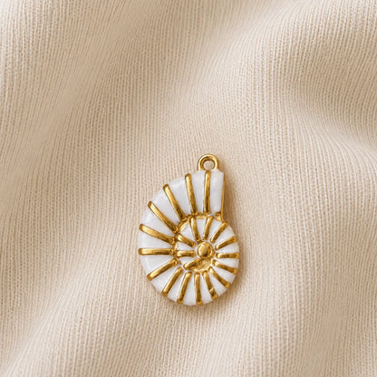 Stainless Steel | Ammonite Shell